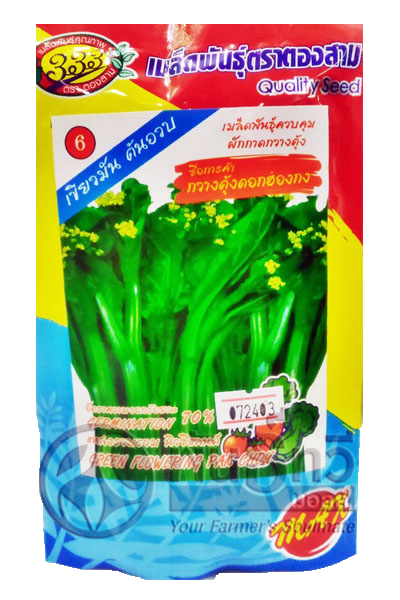 กวางตุ้งดอกฮ่องกง 333ซองตั้ง