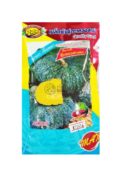 ฟักทองคางคก 333ซองตั้ง