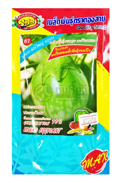 มะเขือหยดน้ำ 333ซองตั้ง