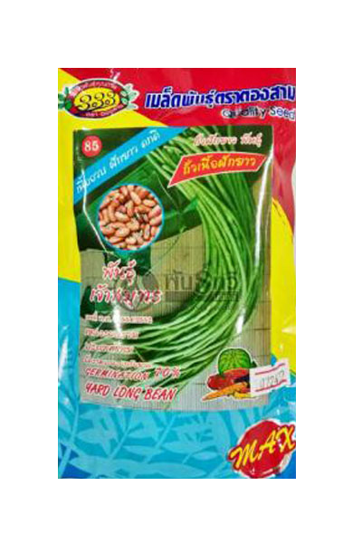 เจ้าสมุทร 333ซองตั้ง