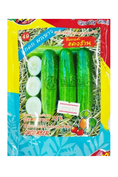 แตงร้าน 333ซองตั้ง