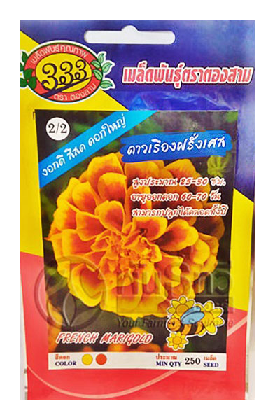 ดอกดาวเรืองฝรั่งเศส333