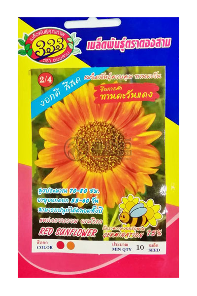 ดอกทานตะวันแดง333