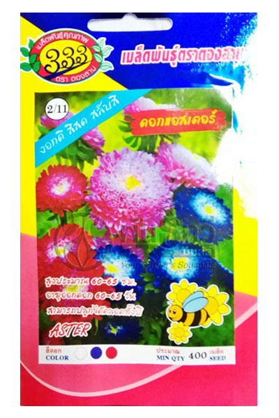 ดอกแอสเตอร์333
