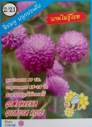 ดอกบานไม่รู้โรย333