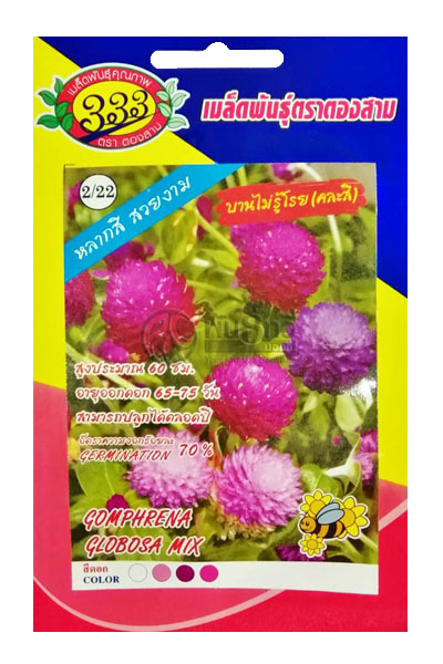 ดอกบานไม่รู้โรยสี333