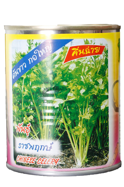 ราชพฤกษ์คึ่นฉ่ายต้นไผ่ ข3 50G*120