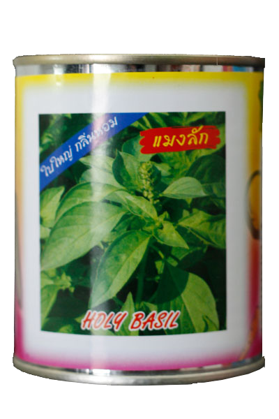 แมงลัก ต้นไผ่ 50G*120