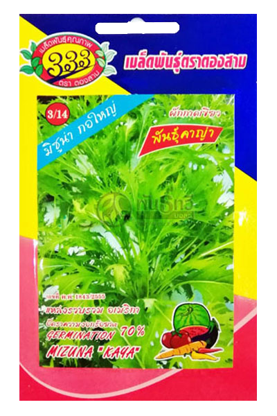 สลัดมิซูน่า(คาญ่า)333