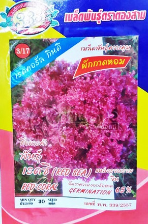 สลัดเรดซี333