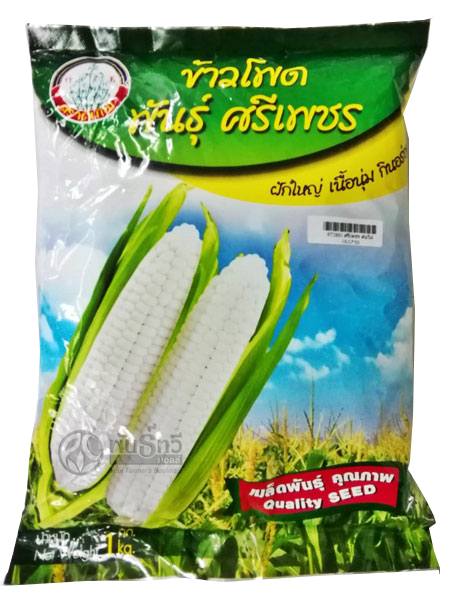 ศรีเพชร ต้นไผ่ 1KG*30