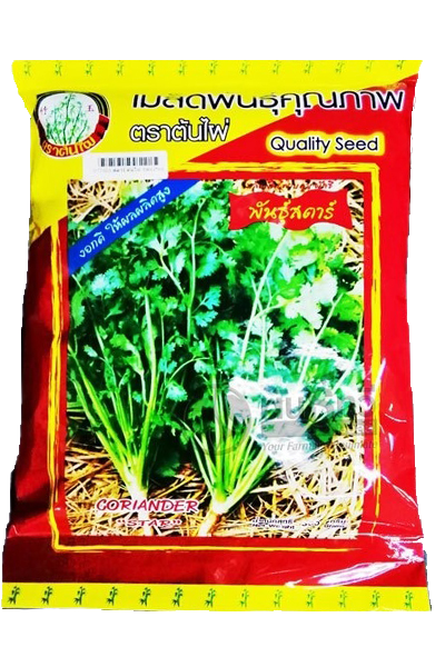 สตาร์ผักชีต้นไผ่ 300G*60