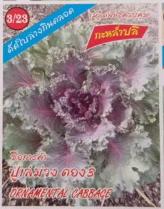 กะหล่ำปลีปูเล่ม่วง333*10