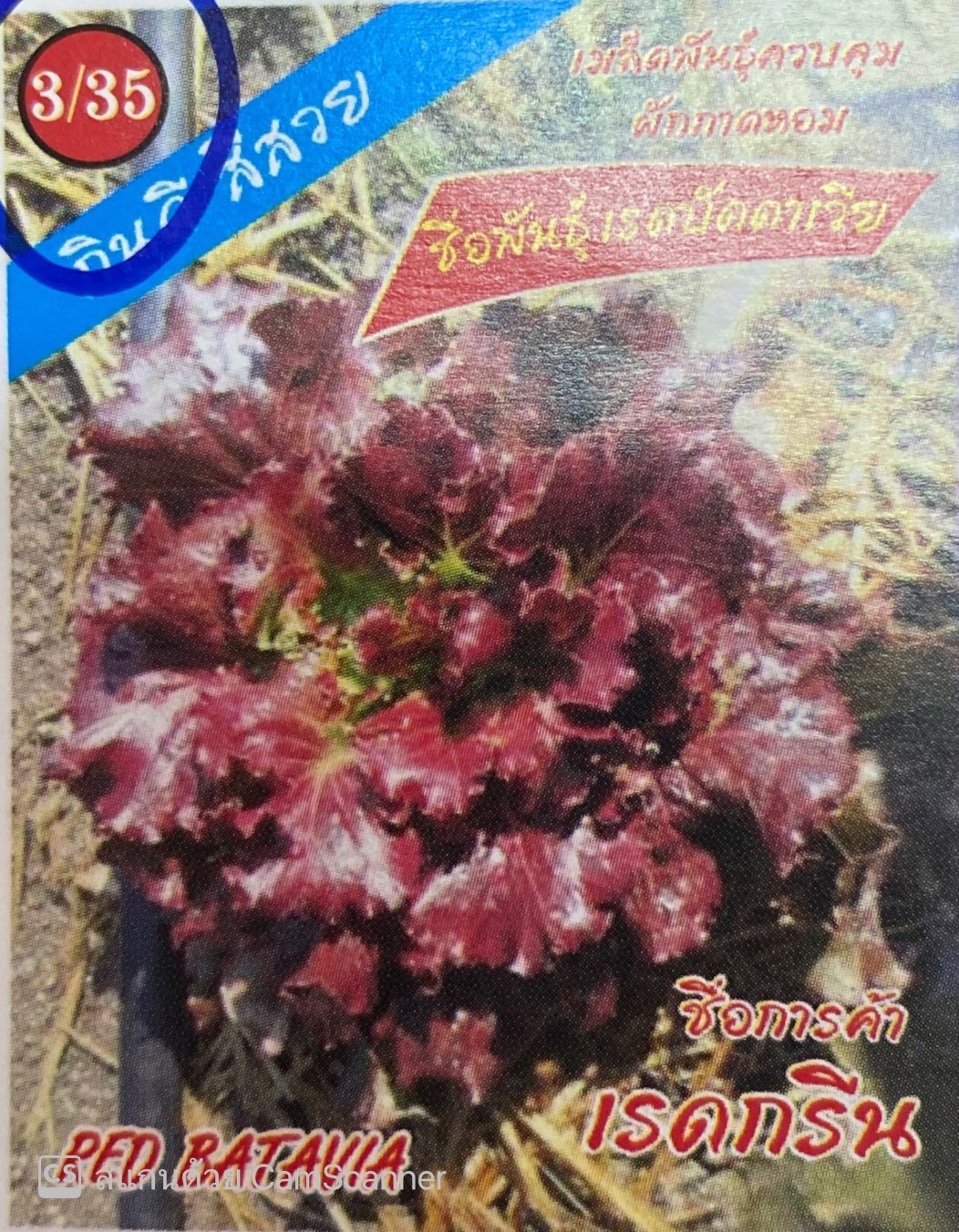 สลัดเรดกรีนเรดบัตตาเวีย333