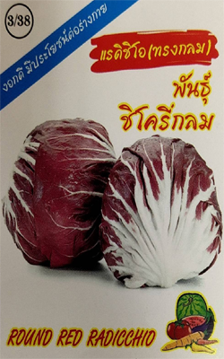 สลัดชิโครี่แรดิชิโอ333ทรงกลม