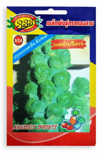 กะหล่ำปลีดาวดัง333