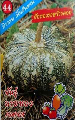 ฟักทองลายข้าวตอก333