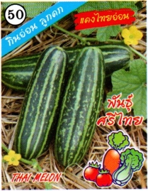 แตงไทยอ่อนศรีไทย333