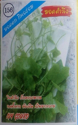 ตำลึงยอด333