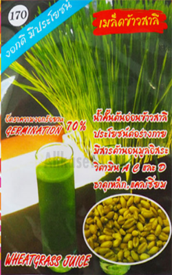 เมล็ดข้าวสาลี333