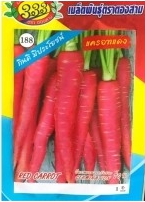 แครอทแดง 333333