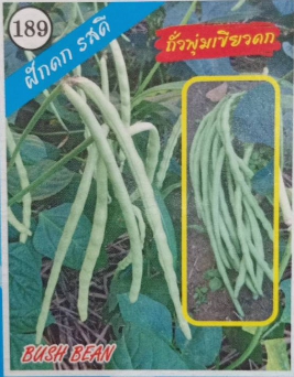 ถั่งพุ่มเขียวดก333*10