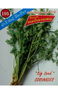 ผักชีหอมป้อม333