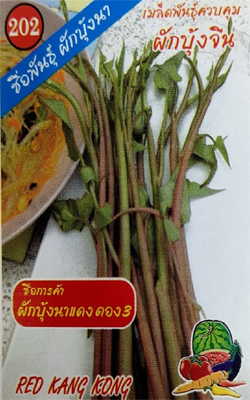 ผักบุ้งนาแดง333333