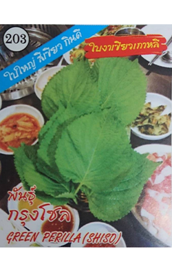 งาเขียวเกาหลีกรุงโซล333