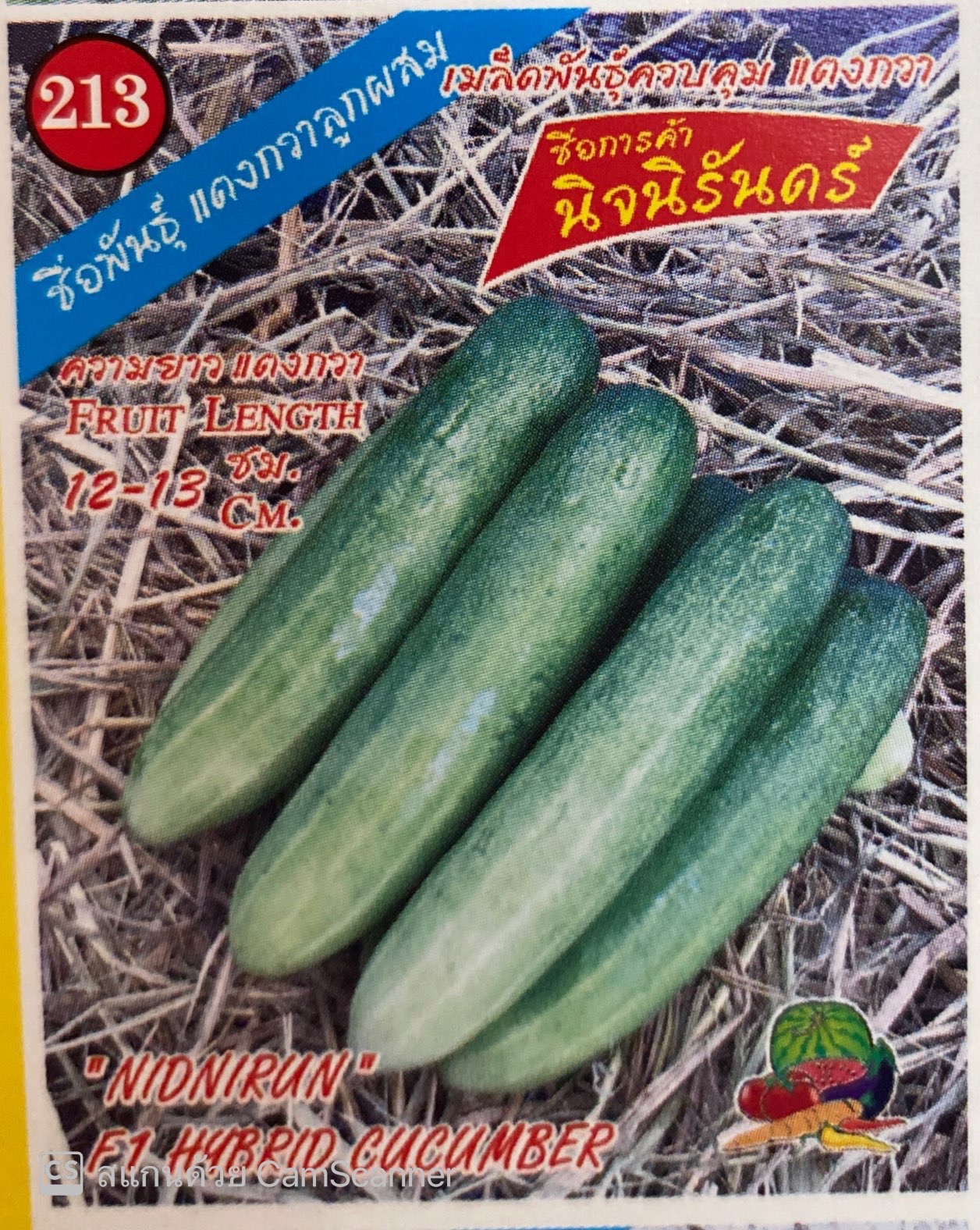 แตงกวานิจจิรันดร์333