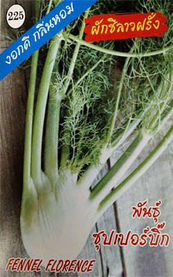 ผักชีลาวซุปเปอร์บิ๊ก333