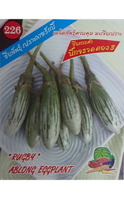 มะเขือเปราะบิ๊กจรวด333