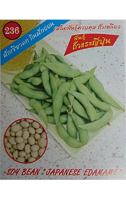 ถั่วแระญี่ปุ่น333