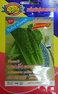 สลัดคอสบอสตัน333