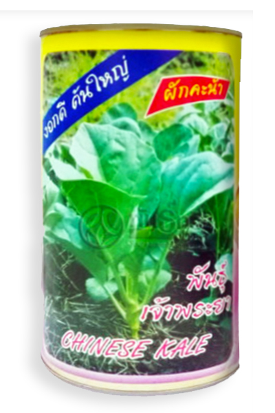 เจ้าพระยาคะน้ายอด ต้นไผ่ ข3 80G*120