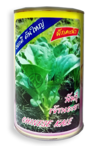 เจ้าพระยาคะน้ายอด ต้นไผ่ 500G*40