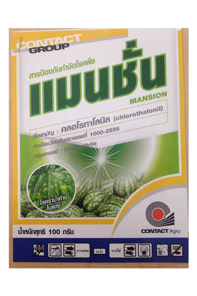 แมนชั่น100G*120