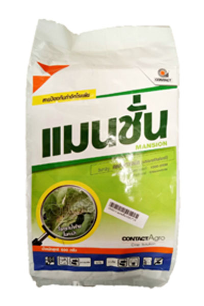 แมนชั่น500G*24