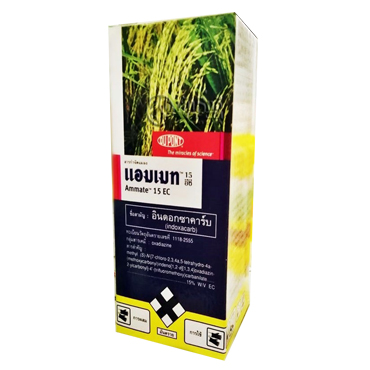 แอมเมท250CC*12