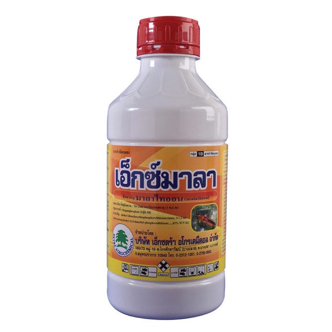 เอ็กซ์มาลา1L*12