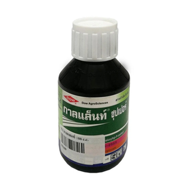 กาลแล็นท์100CC*50