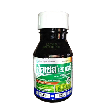 ซัคเซส250CC*24