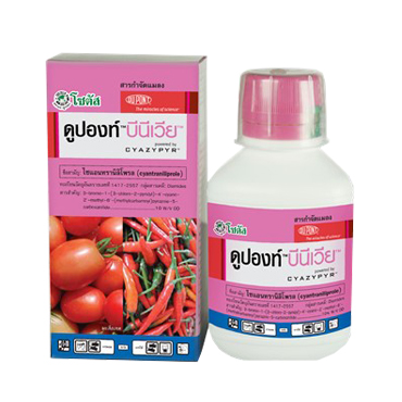 บีนีเวีย 250CC*12