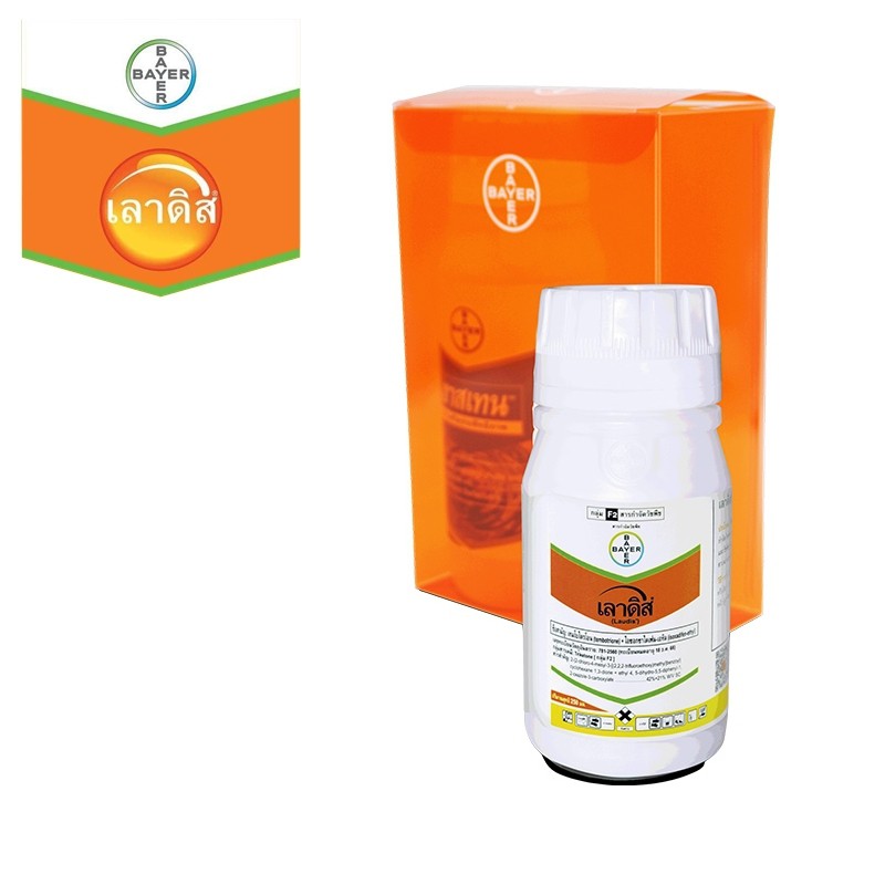 เลาดิส250CC*10