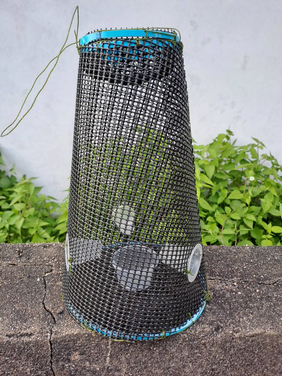 ตุ้มดักกุ้ง