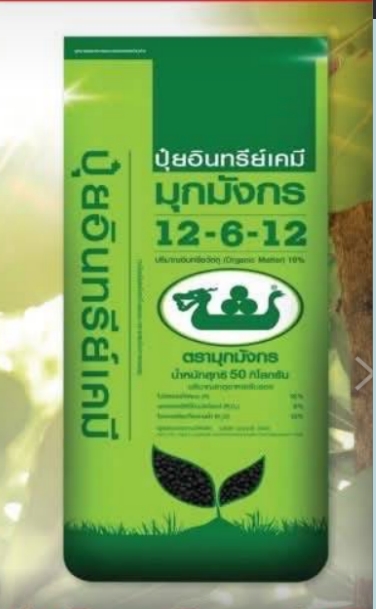 12-6-12มุกมังกร