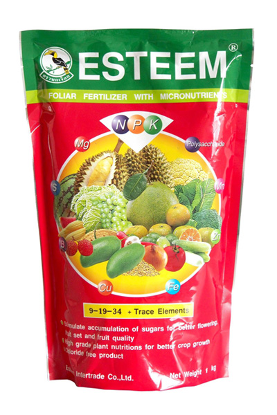 9-19-34นกเงือก1KGเอสทีมแดง *20F