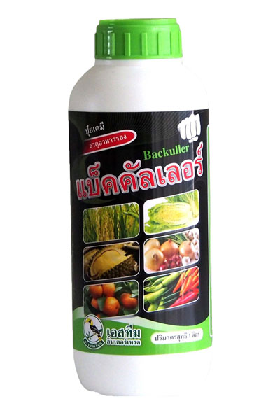 แบ็คคัลเลอร์นกเงือก500CC*12