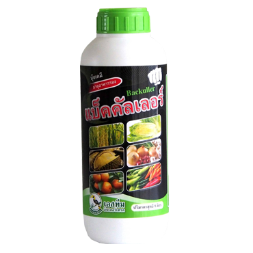 แบ็คคัลเลอร์นกเงือก100CC*48