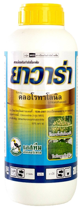 ยาวาร่านกเงือก1L*12